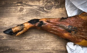 Spanish ham paleta typical 260nw 2362126393.jpg